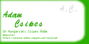 adam csipes business card